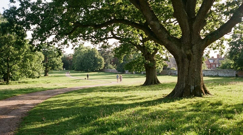 July Visitor & Travel Guide to Wantage