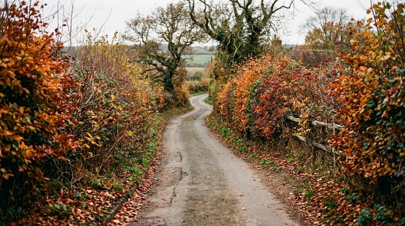 October Visitor & Travel Guide to Wickford