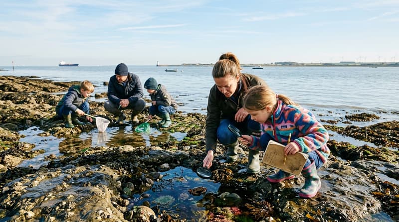 Rockpool Project BioBlitz Battles 2026 in Shoeburyness