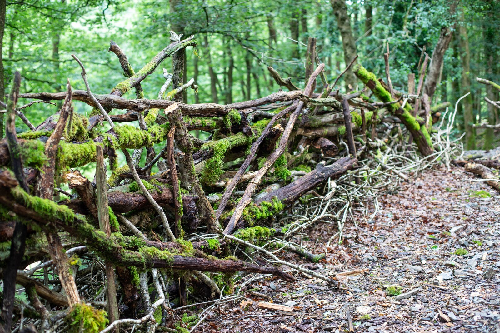 Handcrafted Natural Woodland Branch Boundary at Brecon Oak