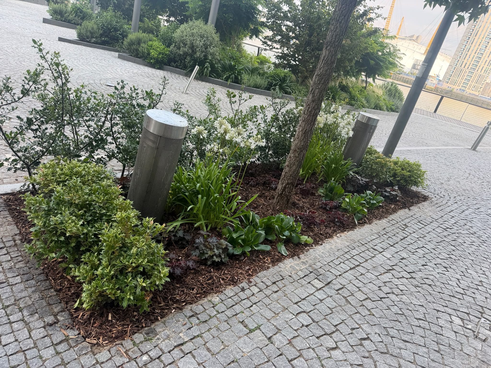 New Providence Wharf Soft Landscaping Restoration