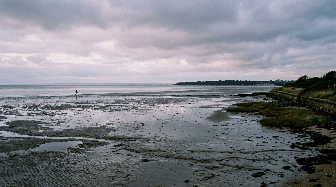 Brent geese feeding on reflective low tide mudflats at Shoebury East Beach during a crisp November afternoon.